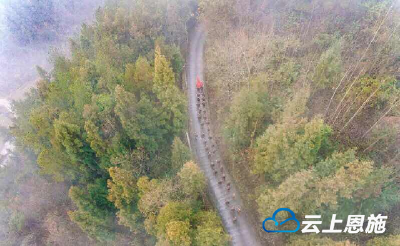 贯彻号令，开启练兵备战加速度 ——湖北省建始县专武干部暨民兵骨干集训侧记