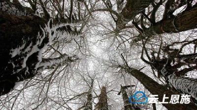 冬天的“九子抱母“雪景迷人，风景媲美香格里拉！
