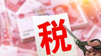 国家税务总局湖北省税务局致全省纳税人、缴费人的一封信