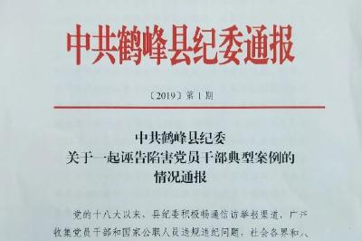 鹤峰一村民诬告陷害党员干部，结果……
