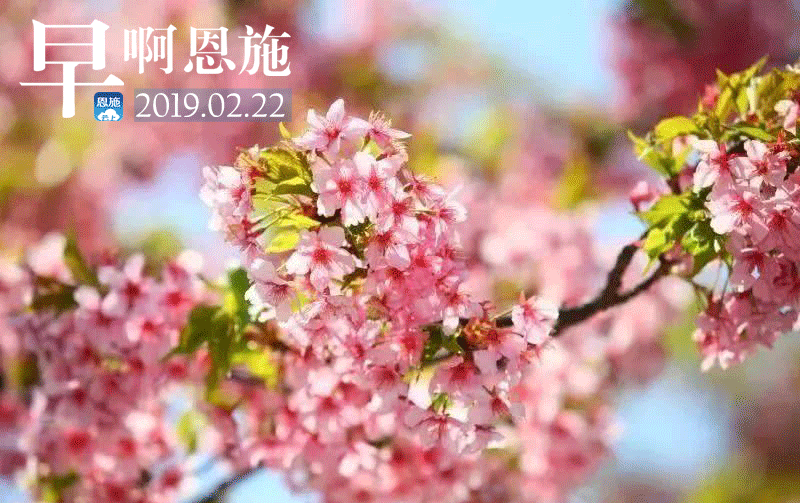 早啊！恩施（2019.02.22）