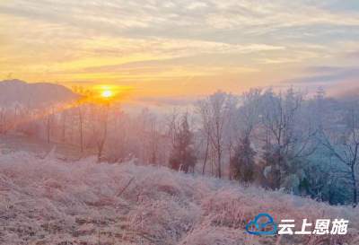 官店初春时节又逢瑞雪（组图）