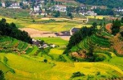 宣恩：驻村的副局长被免职之后