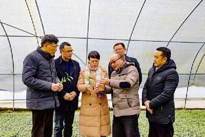 陈晓燕到咸丰调研联系点企业