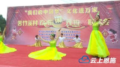 来凤苦竹溪村：欢乐闹元宵