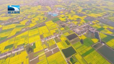 重磅！湖北发布首个乡村振兴五年规划