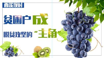 西溪坝村把贫困户培育成脱贫攻坚的“主角”