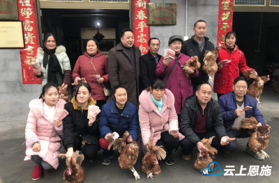 宣恩：养殖户收到合作社大“红包”