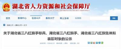 公示中！湖北这50个单位和80名个人拟获省里表彰，有你认识的吗？