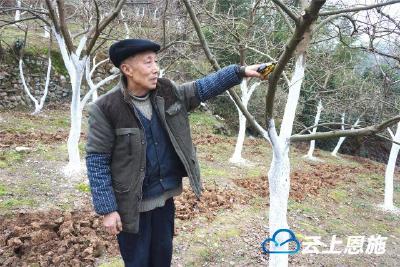 谭启祥：年老发挥余热，带动一方脱贫致富奔小康