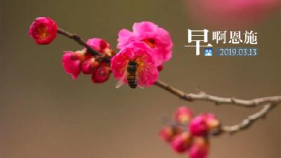 早啊！恩施（2019.03.13）