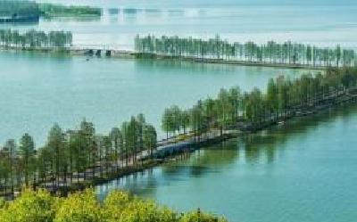 部分全国人大代表、政协委员为“东湖绿道”代言—— 让绿色福利泽被子孙后代