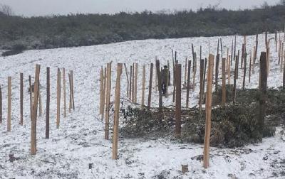 说来你可能不信 今天利川齐岳山下雪了