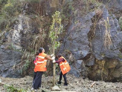 鹤峰公路：打造充满“乡野气息”的美丽公路