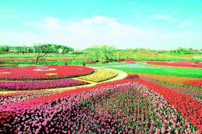 诗画湖北大美乡村