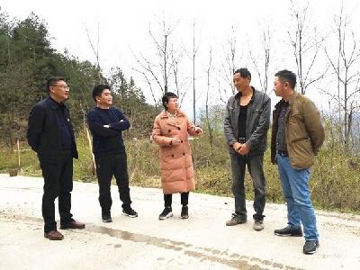 陈晓燕调研督办咸丰小水坪村脱贫攻坚工作