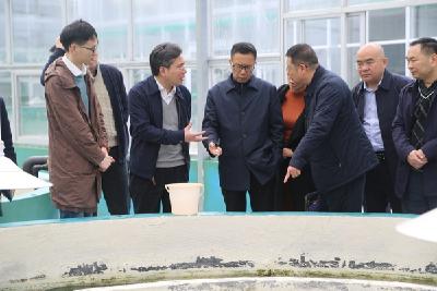 吕金施率队调研硒食品精深加工产业集群建设情况