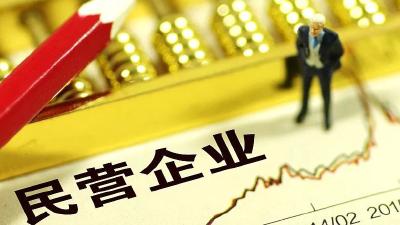 “放水养鱼”背后：民企不吃“偏饭” 想吃“公平饭”