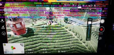 网络直播助力鹤峰农产品走出大山 订单排到明年