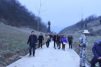 恩施州审计局开展“打造绿色环保，建设美好乡村”植树活动