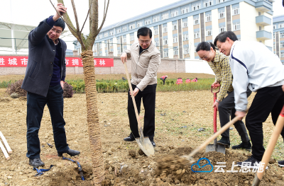 恩施州领导参加义务栽植活动