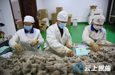 聚焦大健康产业 湖北海棠车间忙包装忙