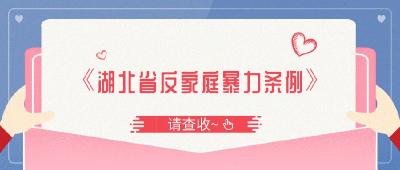 全票通过！！！《湖北省反家庭暴力条例》 亮点抢先看！