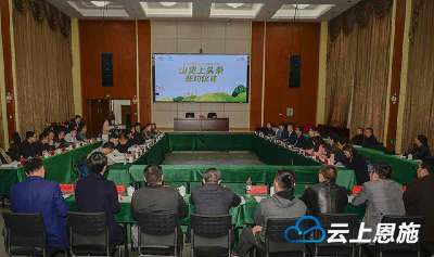 “山货上头条”助力来凤推广特色藤茶