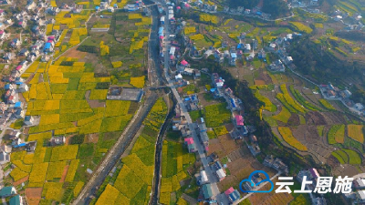 航拍 | 诗画田园 建始下坝