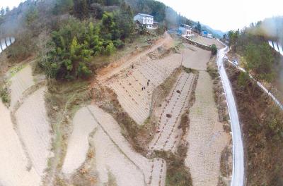 春拂贫困村丨拓宽致富路 大支坪发展花椒产业促增收