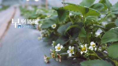 早啊！恩施（2019.03.21）