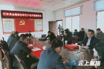 上门服务出实招 巴东“金融早春行”进乡镇