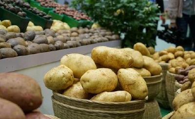 中国马铃薯大会5月下旬在恩施举办