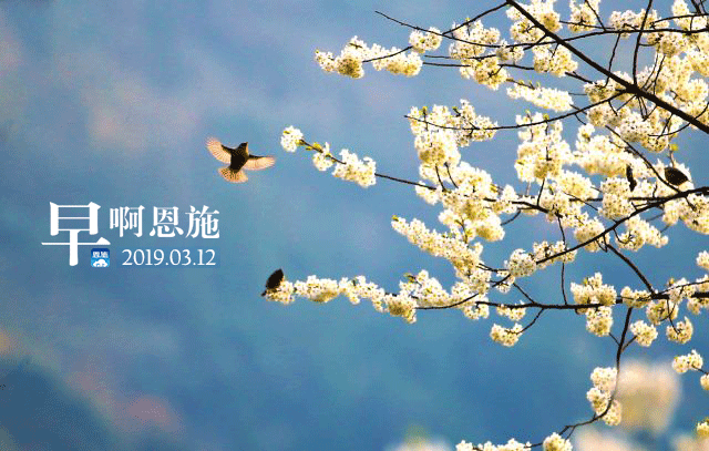 早啊！恩施（2019.03.12）