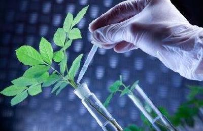 湖北省生物产业四年冲击三千亿