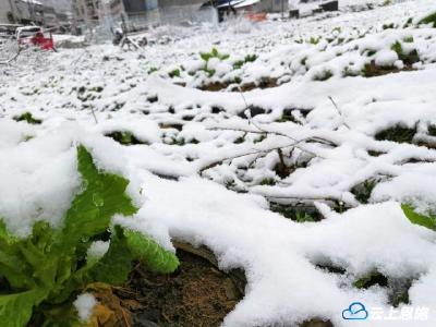 今天有没有被冷醒？恩施这些地方在下雪！