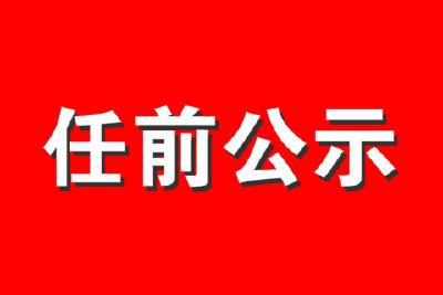 湖北4市州12名干部任前公示，多人为
