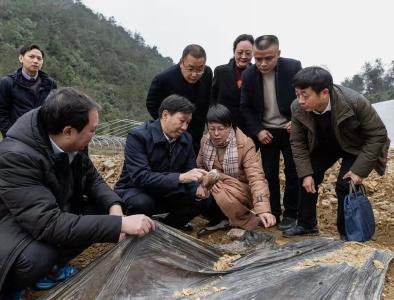 州委常委、常务副州长丁辉到坪坝营镇大溪村调研精准扶贫
