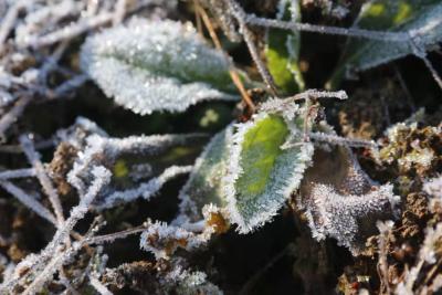 说出来你可能不信，恩施下雪啦！（持续更新）
