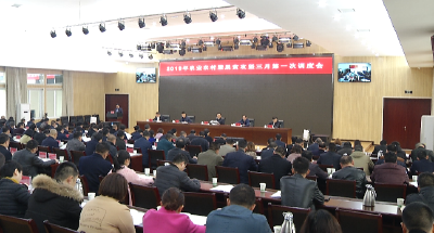 2019年恩施市如何做好农业农村工作？