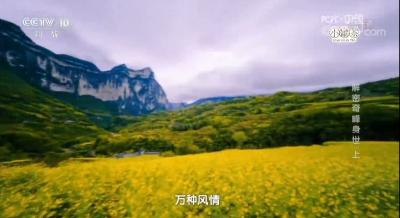 恩施又上央视！连续6天！看完之后深深震撼……