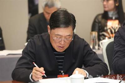 总书记看望政协委员,湖北作家熊召政难忘激动时刻