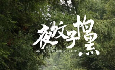 鹤峰刘虹均拍摄的电影《夜蚊子怕黑》入围第七届温哥华(国际)华语电影节