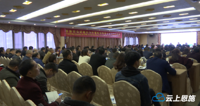 视频|中国南方马铃薯晚疫病综合防控技术培训会在恩施举行
