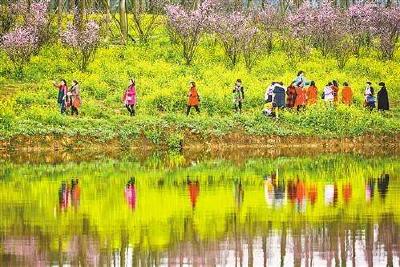 清明假日全国接待游客人次破亿 踏青赏花成出游首选