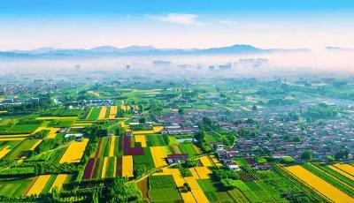 最新公布！湖北农村人能领这么多补贴，名单收好！