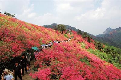 2019全省全域旅游惠民大行动启动 35万张景区门票免费领