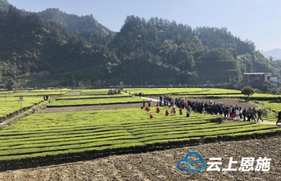 “利川人”大会：众贤毕至 共叙乡情