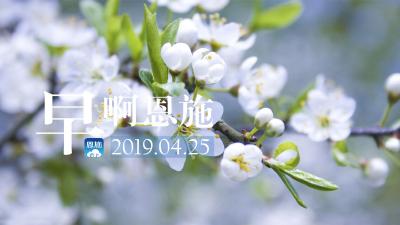 早啊！恩施（2019.04.25）