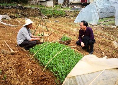 对标找差距 精准补短板